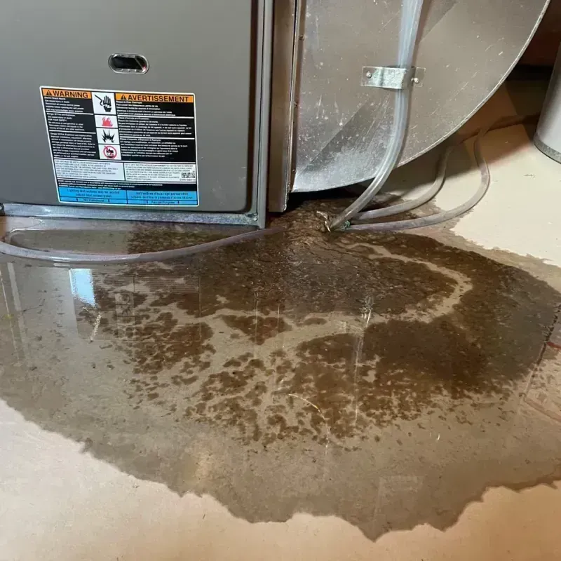 Appliance Leak Cleanup in Brighton, CO